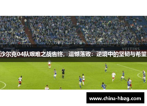 沙尔克04队艰难之战告终，遗憾落败：逆境中的坚韧与希望