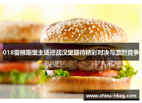 018雷根斯堡主场迎战汉堡期待精彩对决与激烈竞争
