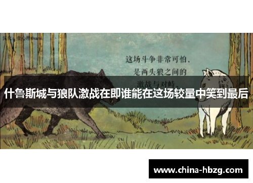 什鲁斯城与狼队激战在即谁能在这场较量中笑到最后